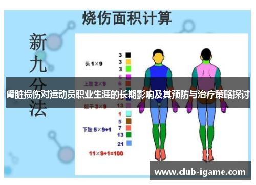 肾脏损伤对运动员职业生涯的长期影响及其预防与治疗策略探讨 肾脏损伤对运动员职业生涯的长期影响及其预防与治疗策略探讨
