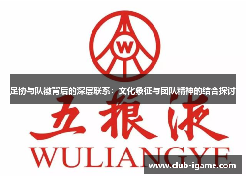 足协与队徽背后的深层联系：文化象征与团队精神的结合探讨