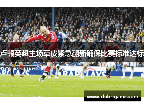 卢顿英超主场草皮紧急翻新确保比赛标准达标