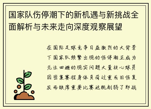 国家队伤停潮下的新机遇与新挑战全面解析与未来走向深度观察展望